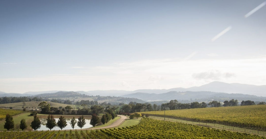 Landscape picture of coldstream victoria